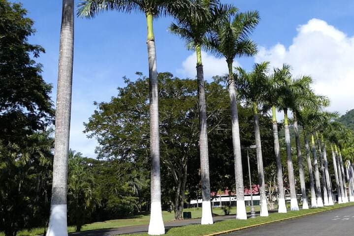 Viva Tambor Villas photo 2